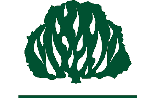 IPB